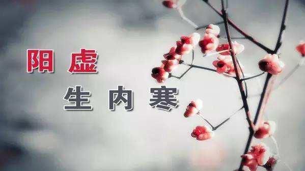 阳虚体质如何调养中医体质辨识仪器