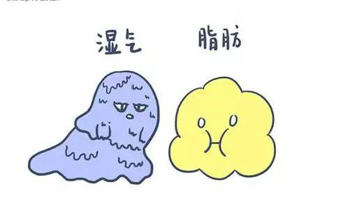 中医体质辨识诊断仪阐述痰湿体质生活中如何调养