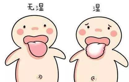 中医体质辨识仪器科普爱起痘的湿热质调理