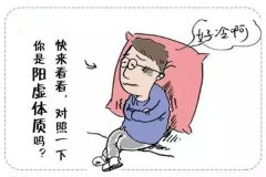 中医体质辨识仪系统简述怕冷派有可能是阳虚质