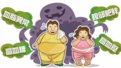 中医体质辨识仪品牌详解痰湿体质的症状